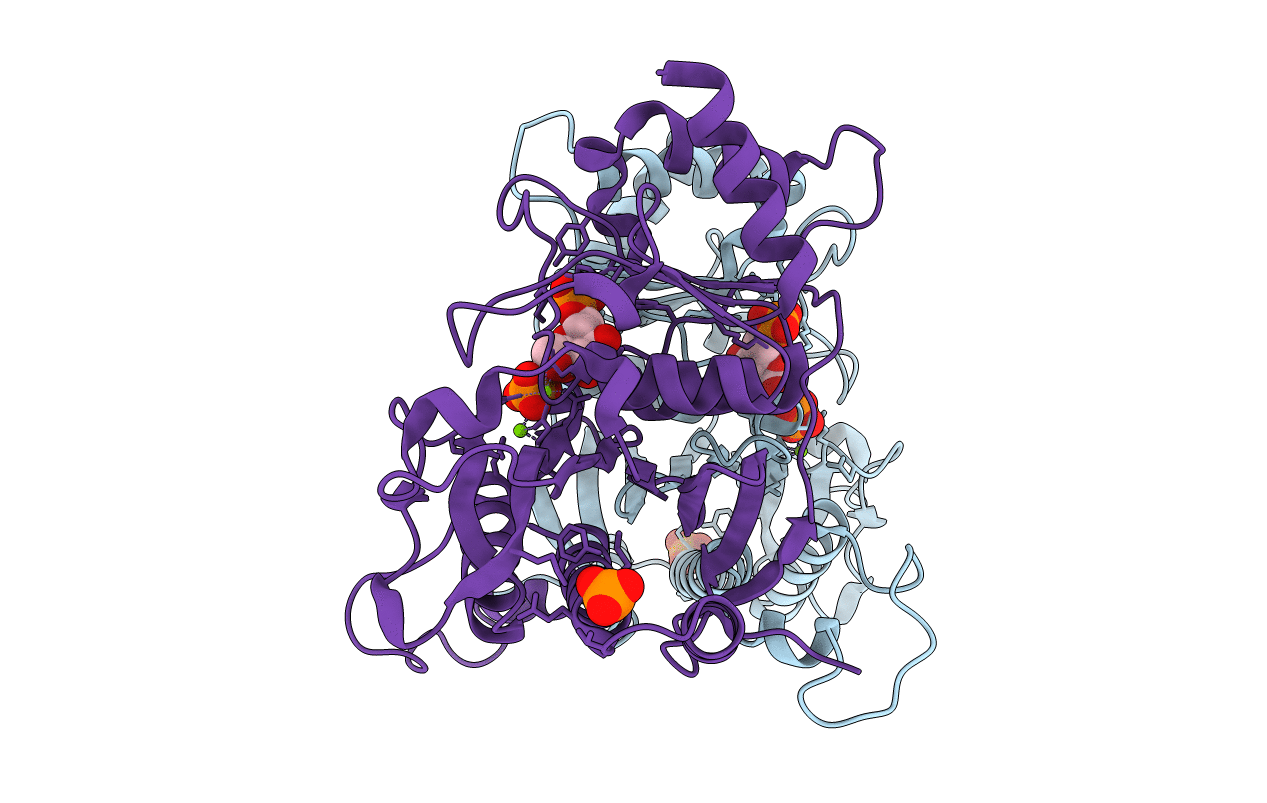 4GX3 image