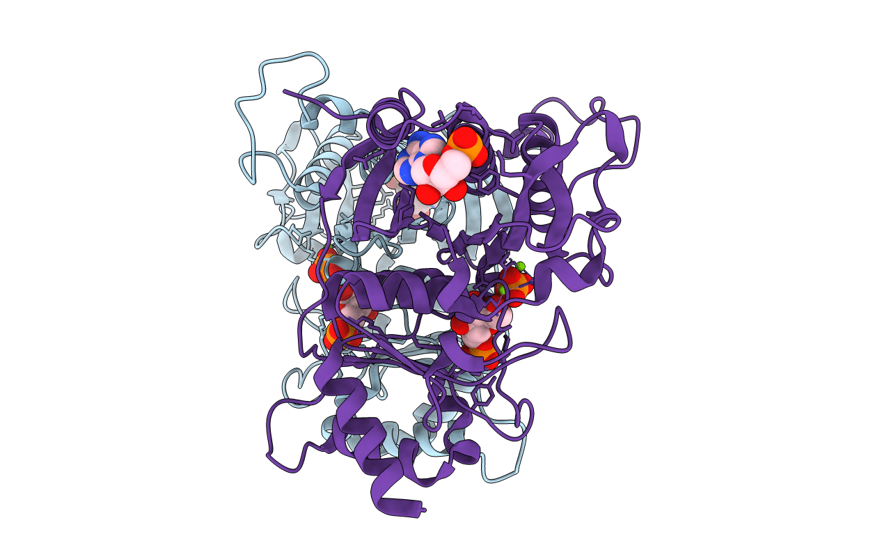 4GX4 image