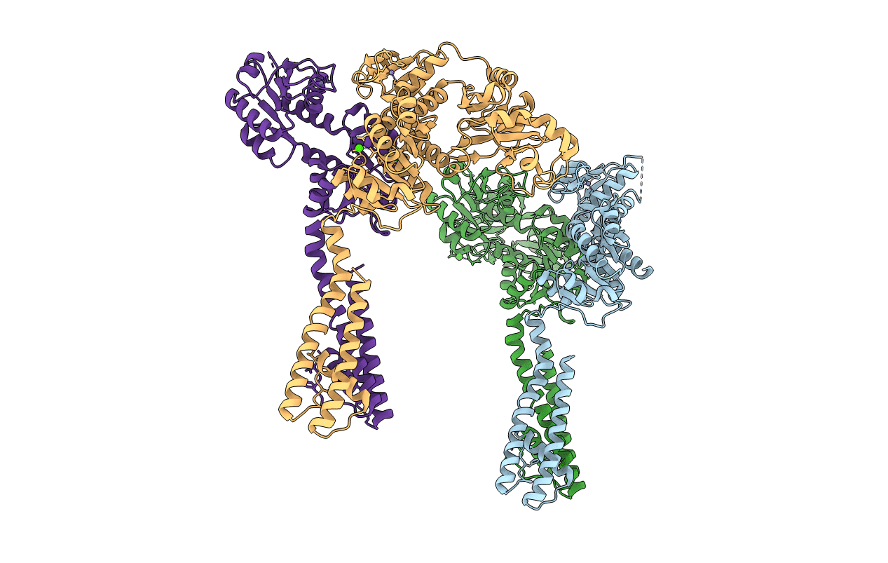 4GX5 image