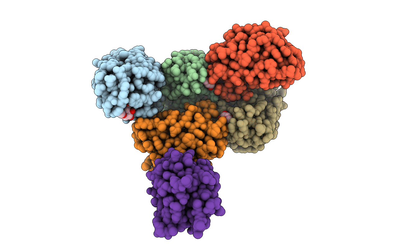 4GX7 image