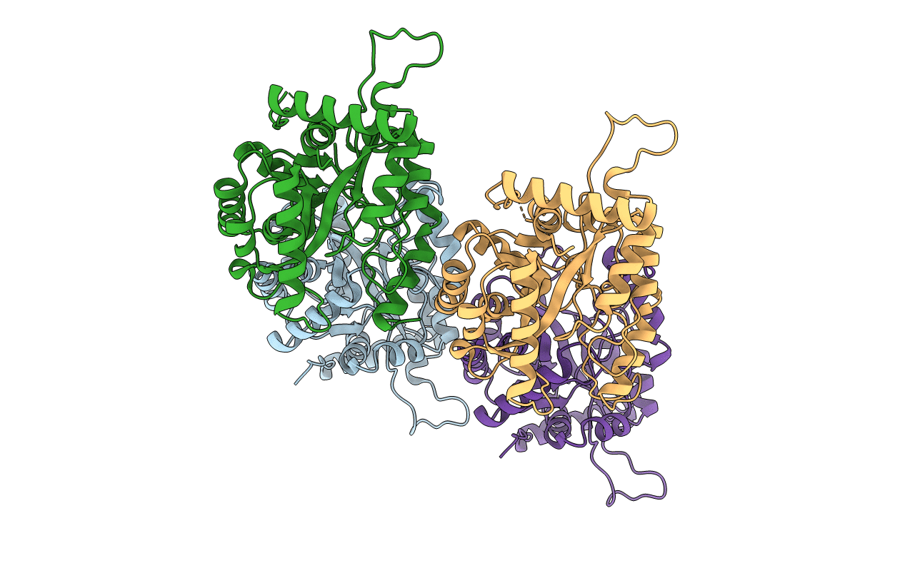 4GX9 image