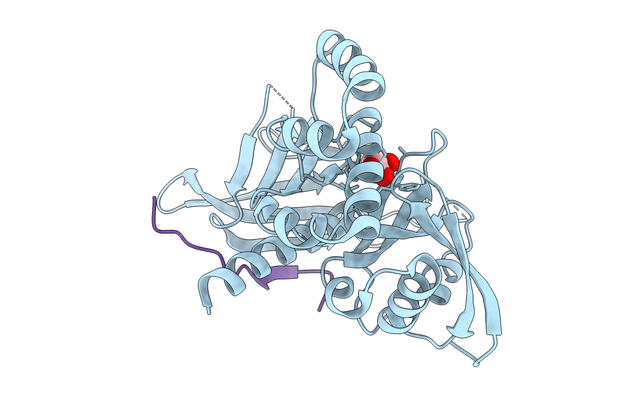 4GXB image