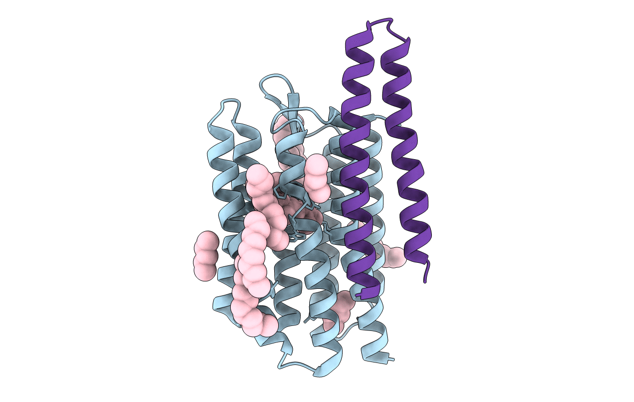 4GYC image