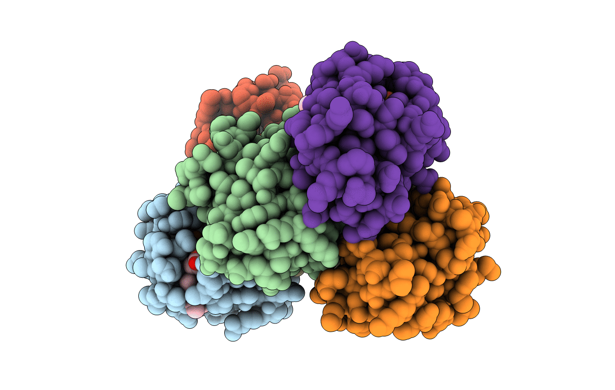 4GYD image