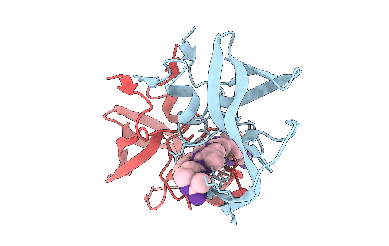 4GYE image