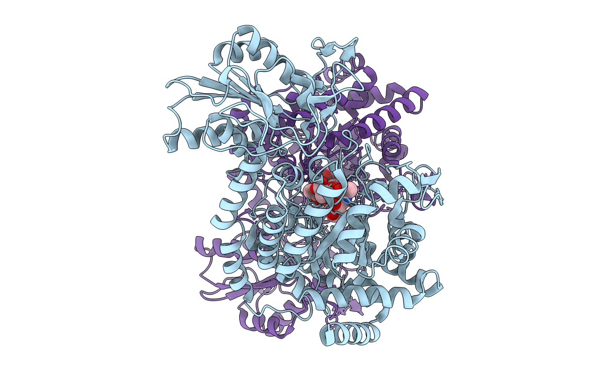4GYJ image