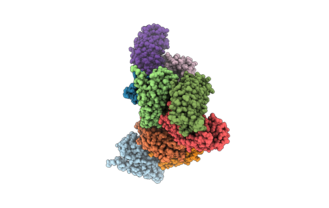 4GYV image