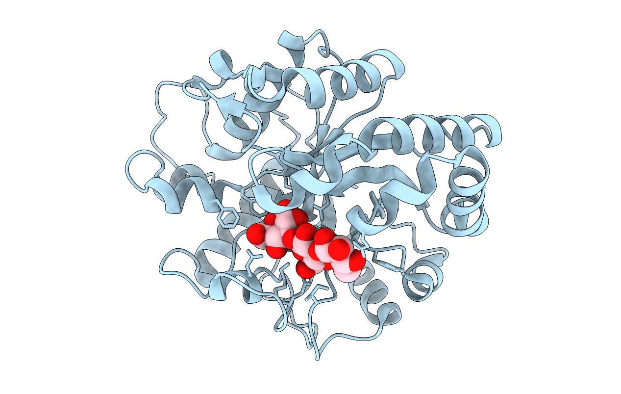 4GZI image
