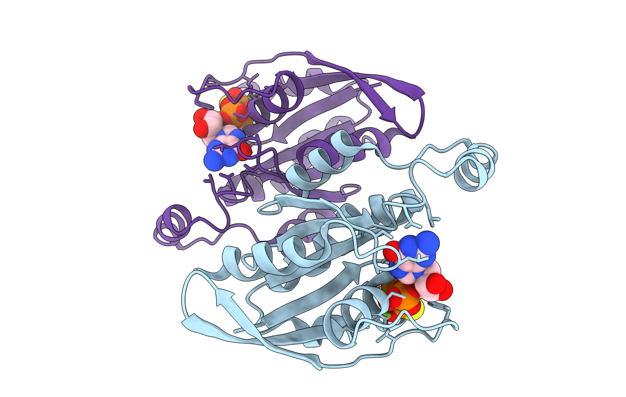 4GZM image