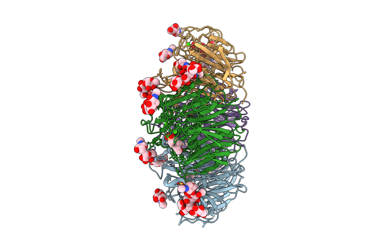 4GZS image