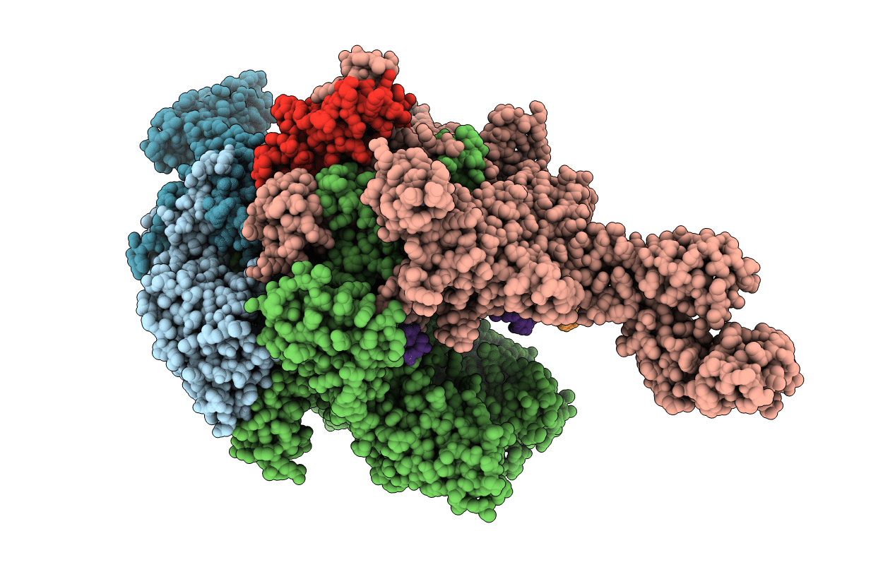 4GZZ image