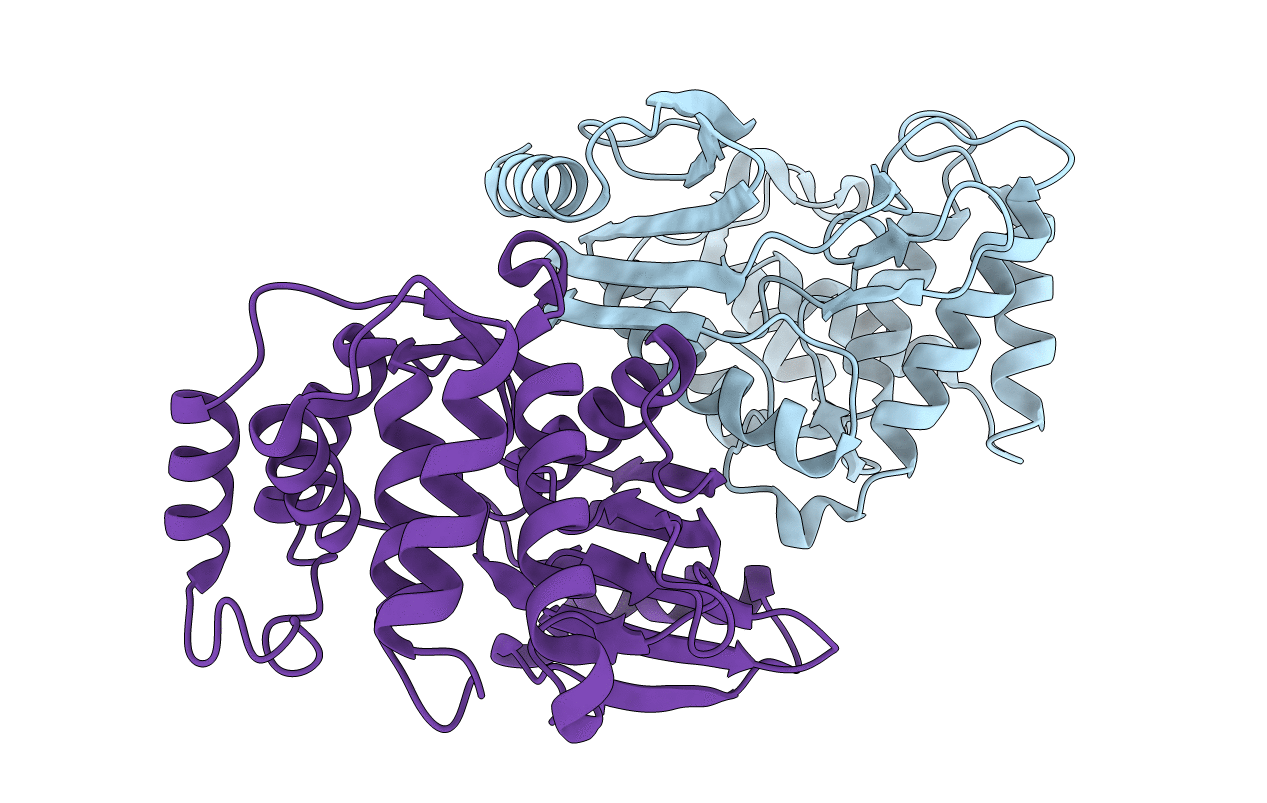 4H05 image