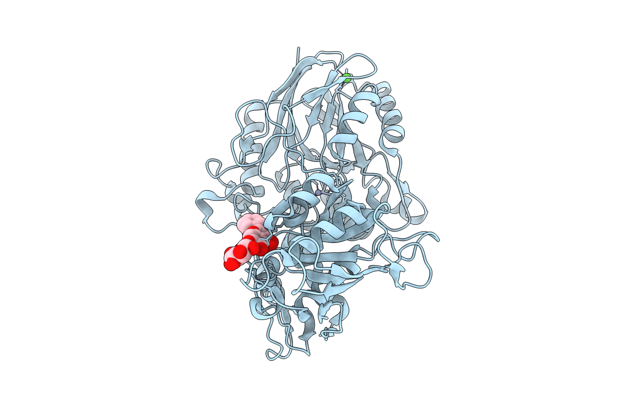 4H2B image