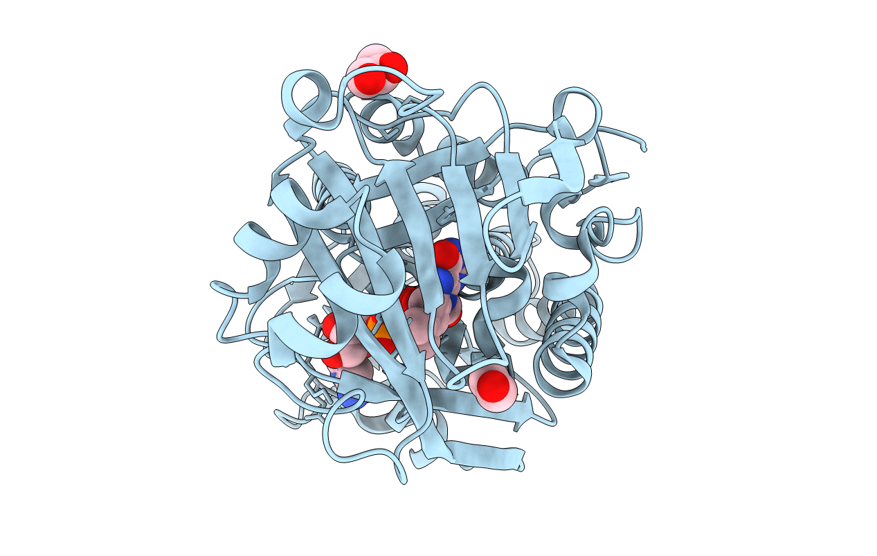 4H2N image