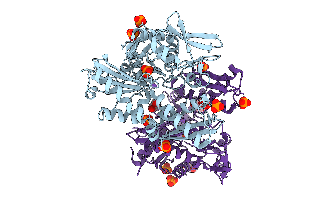 4H5N image