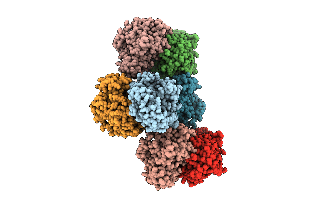 4H6D image