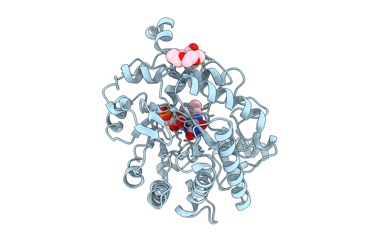 4H6K image