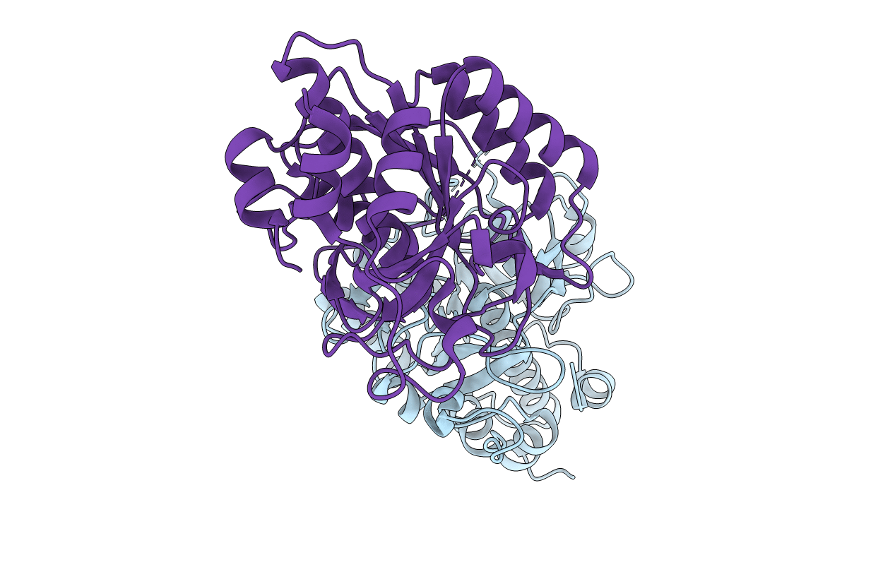 4h6w image