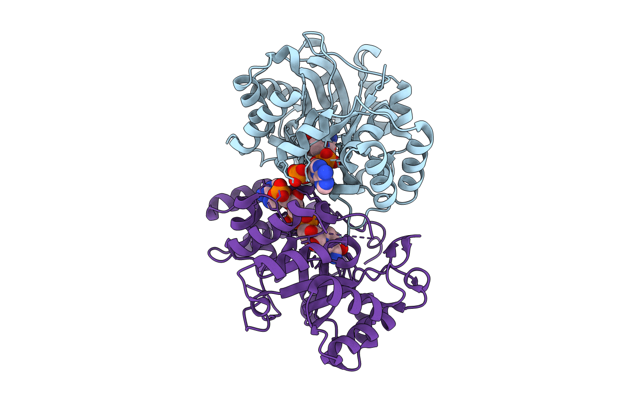 4H8N image