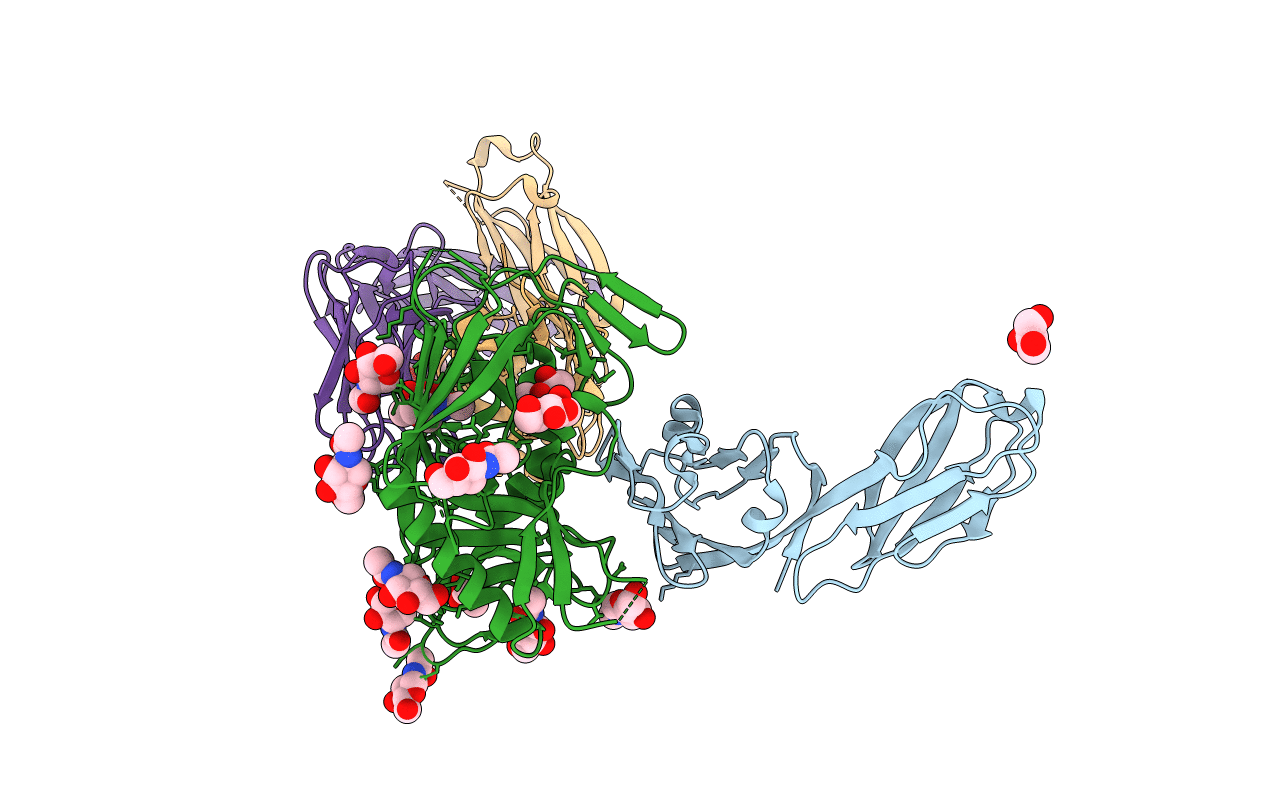 4H8W image