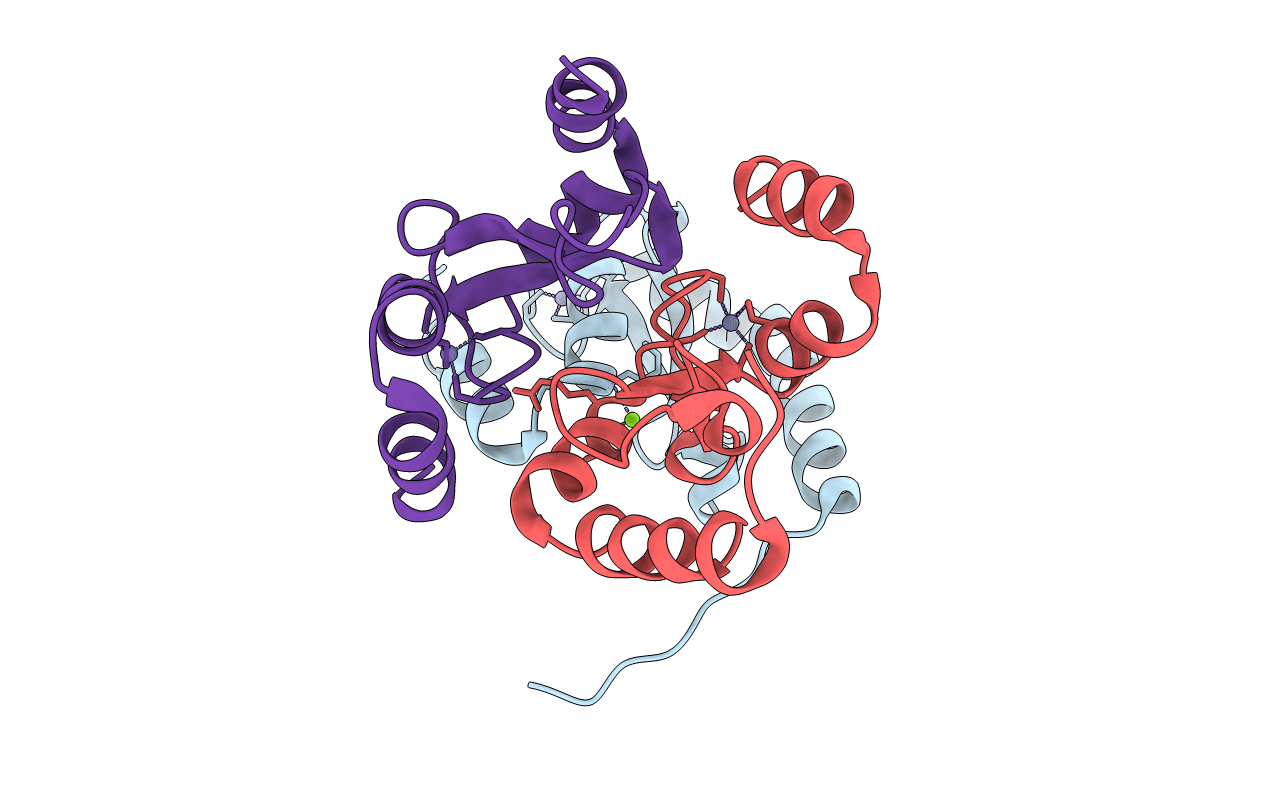 4H9D image