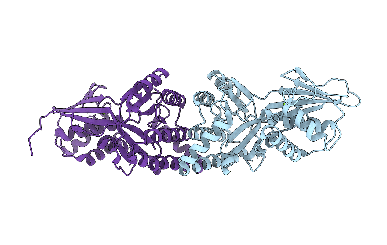 4HAC image