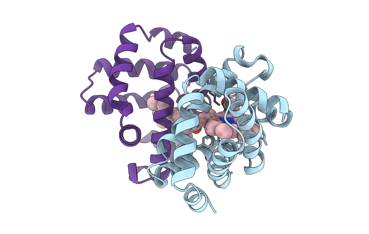 4HBI image