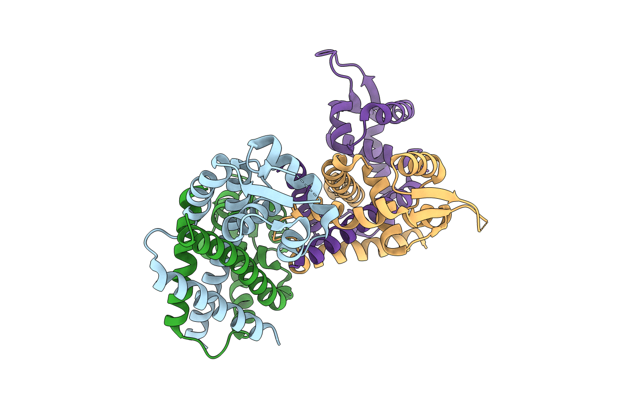4HBL image