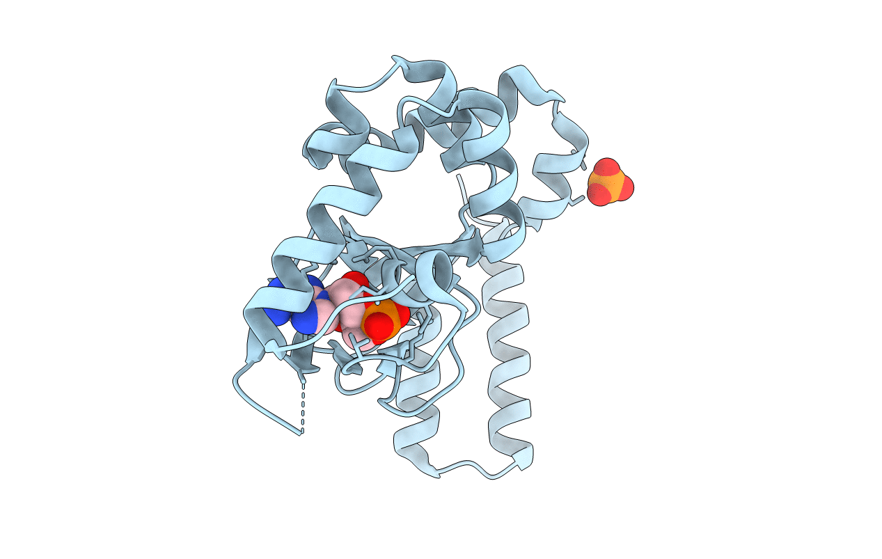 4HBN image