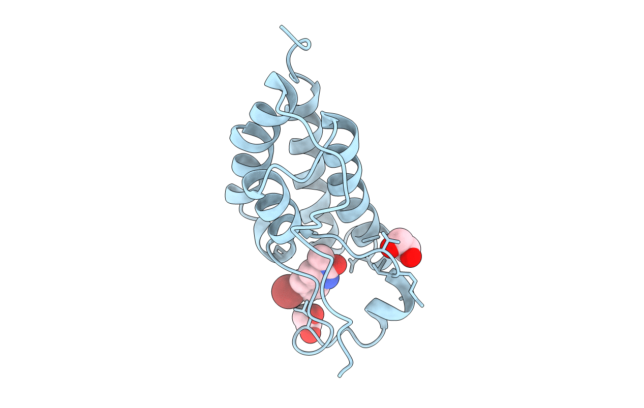 4HBV image