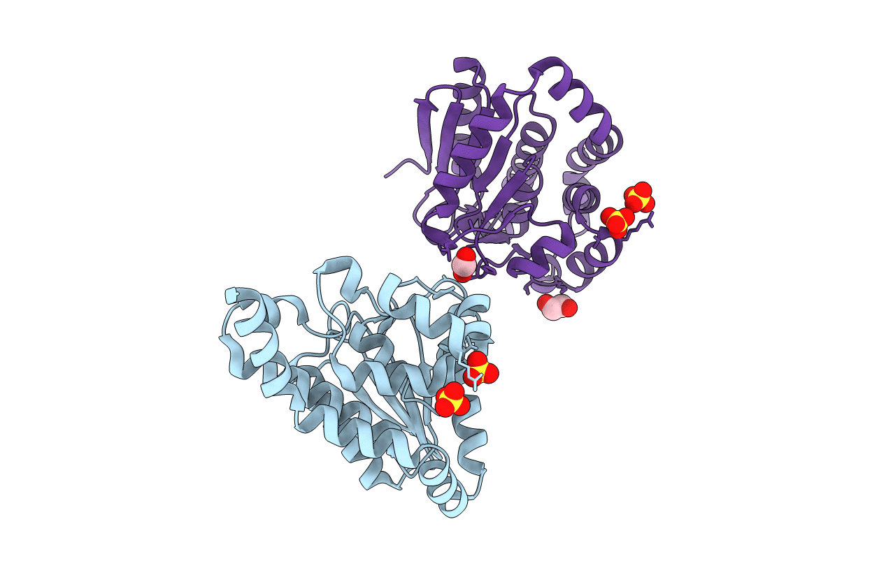 4HC8 image