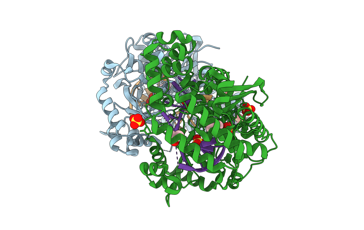 4HCC image