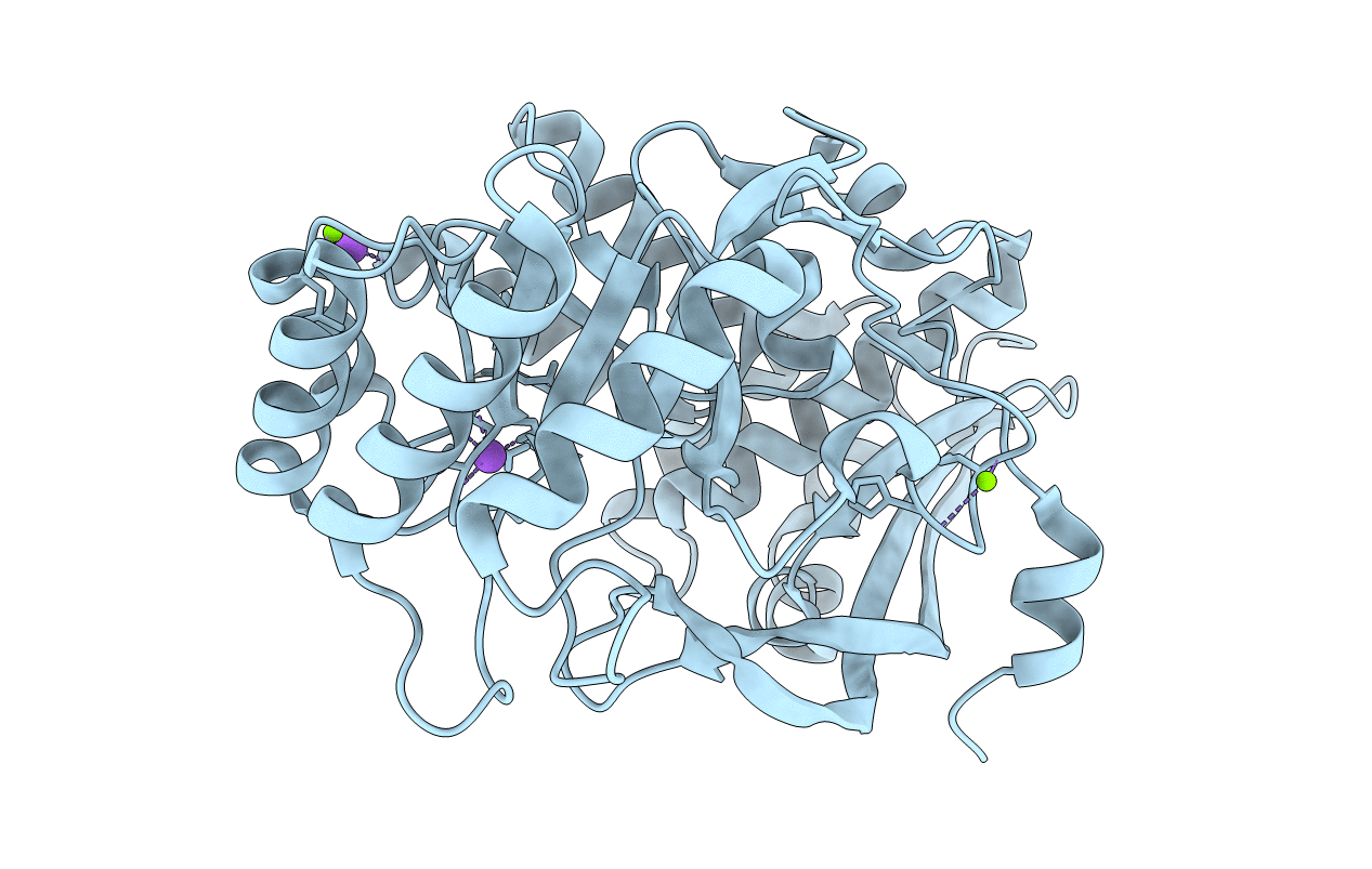 4HCD image
