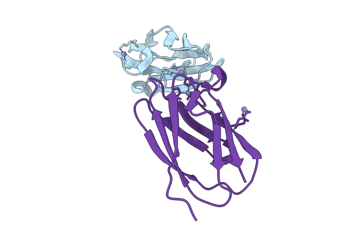 4HCG image
