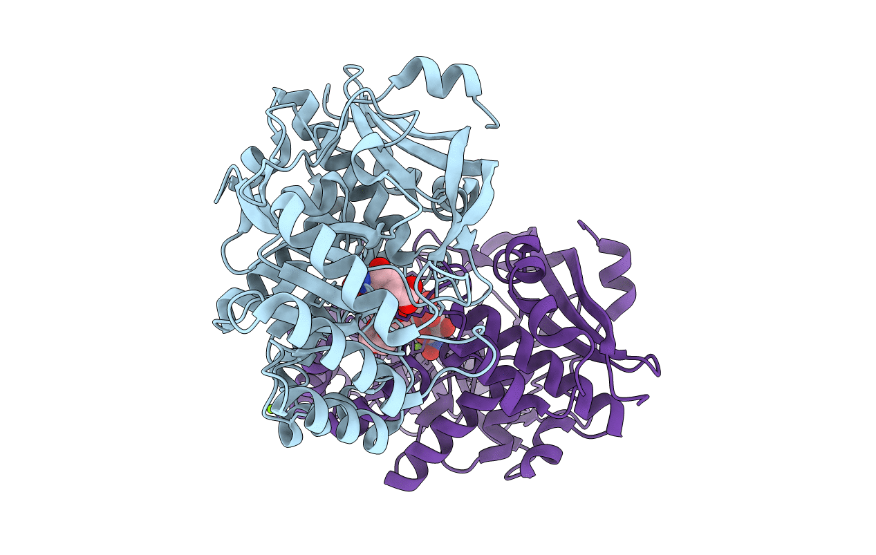 4HCL image