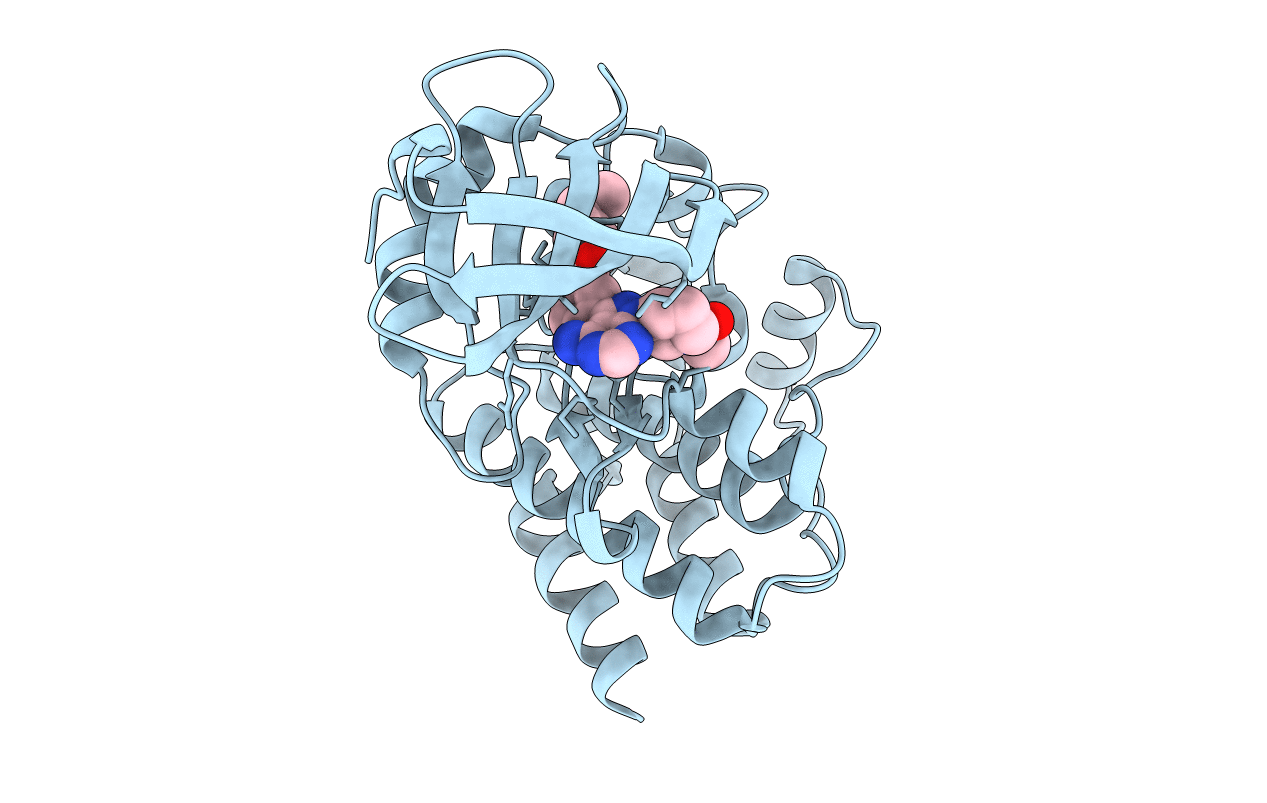 4HCV image