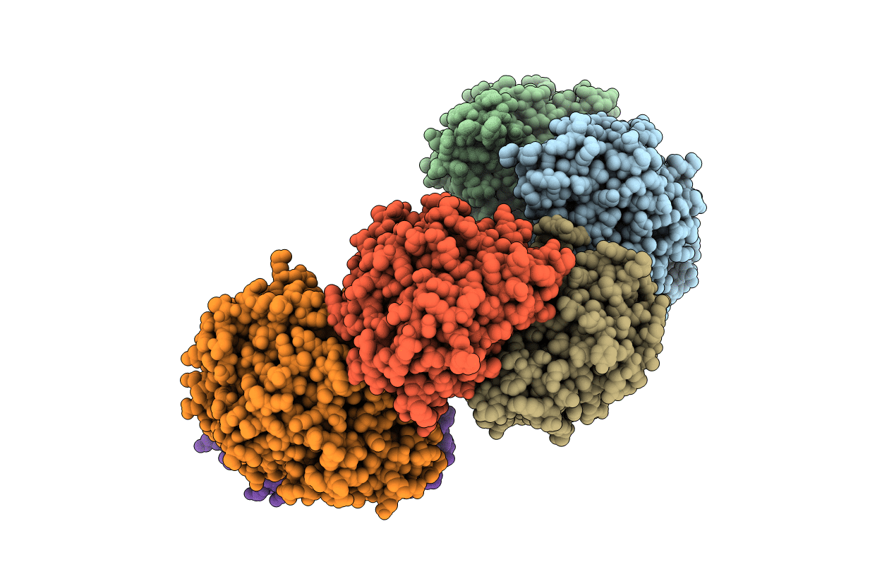 4HCW image