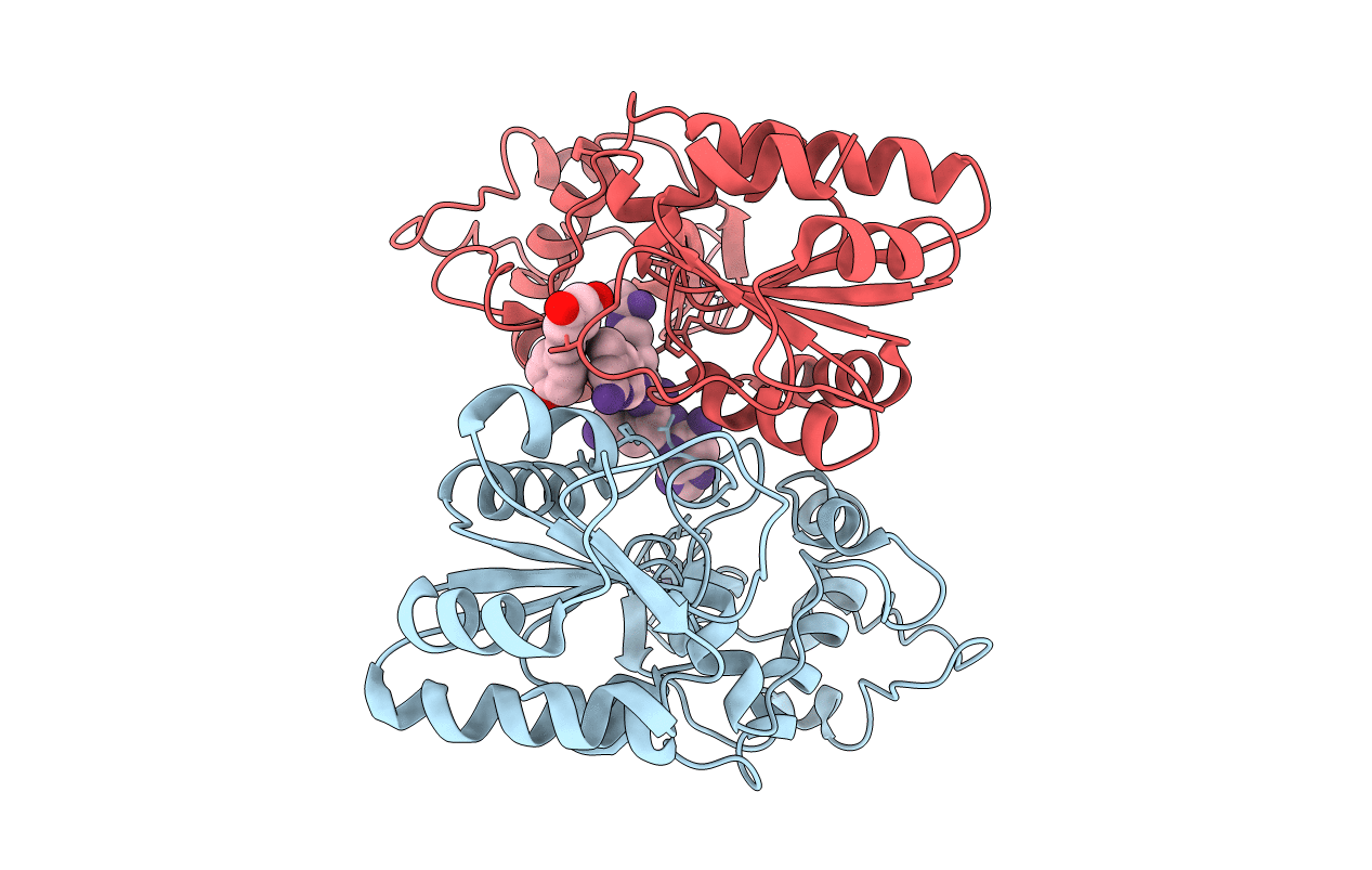 4HDA image