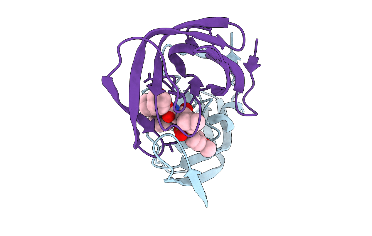 4HDF image