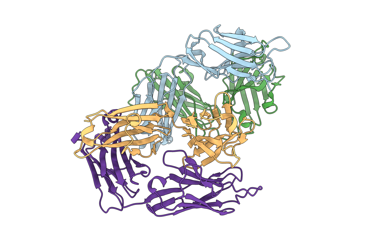 4HDI image