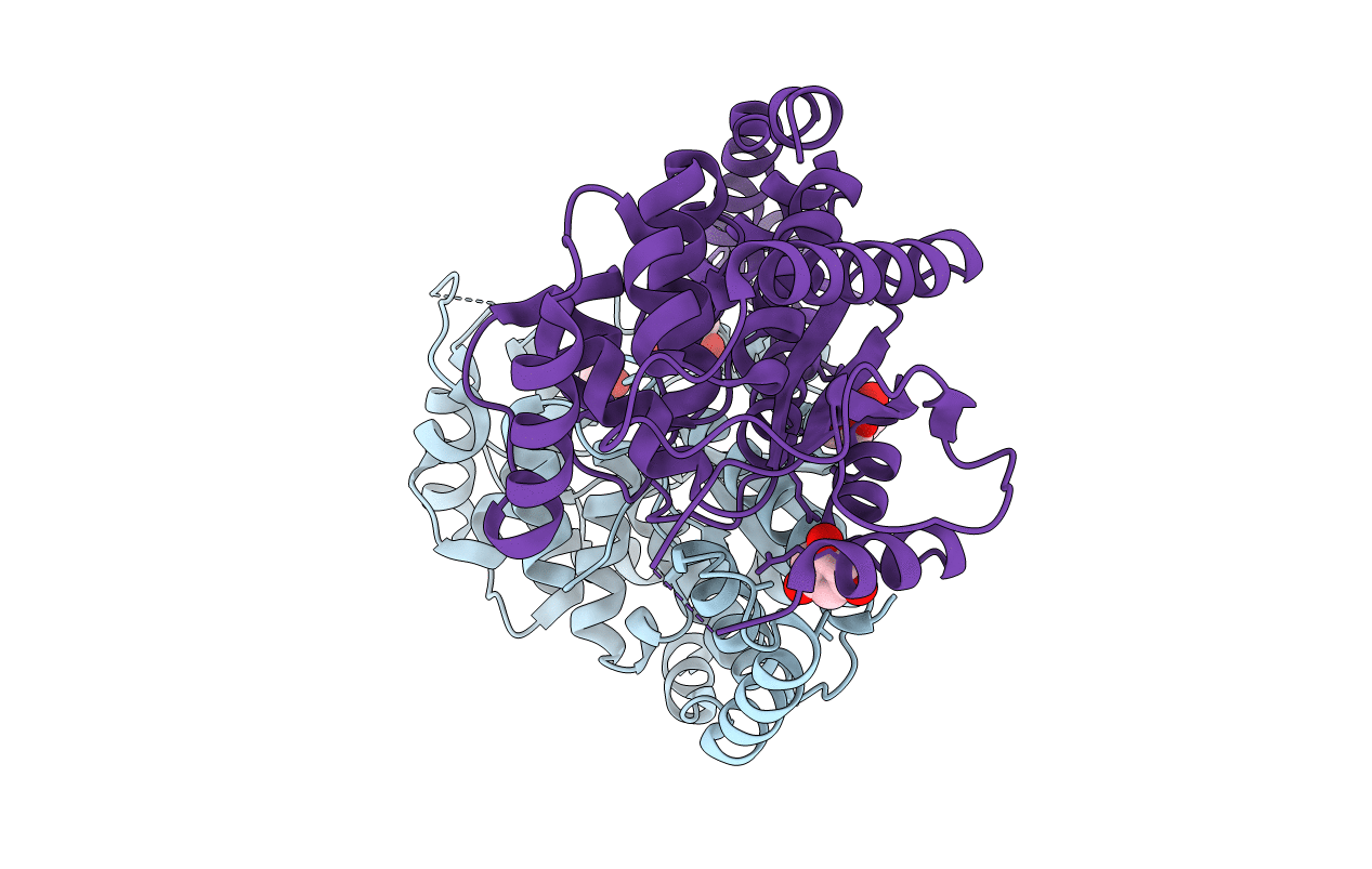 4HDK image