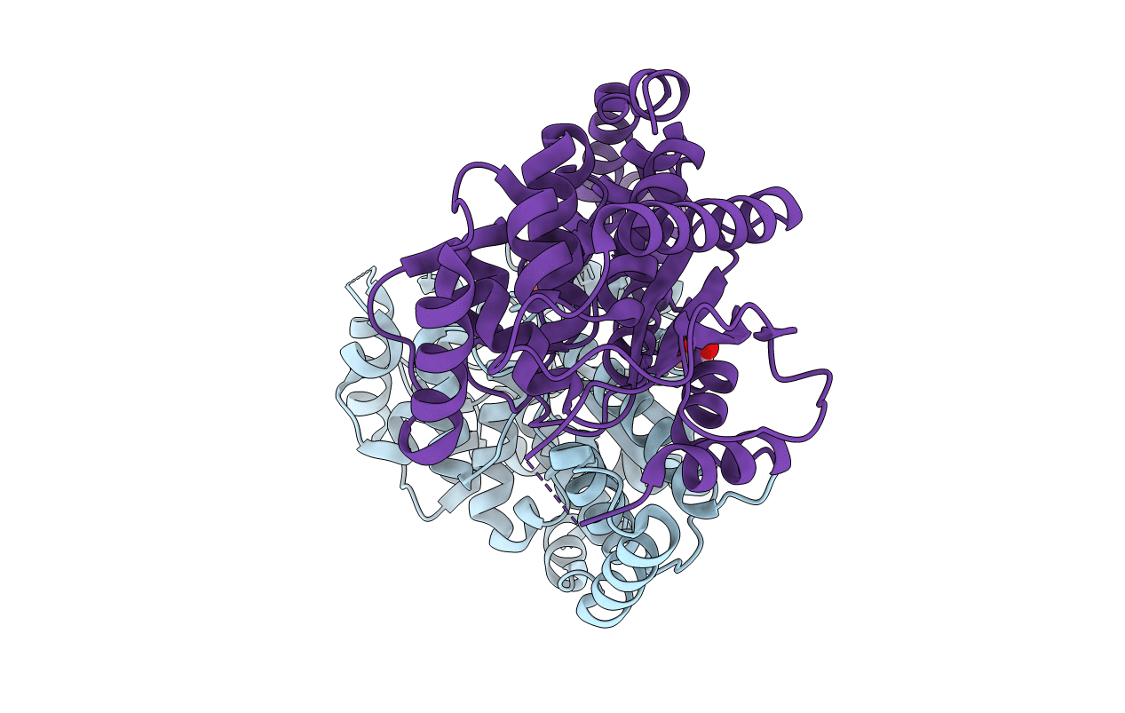 4HDM image