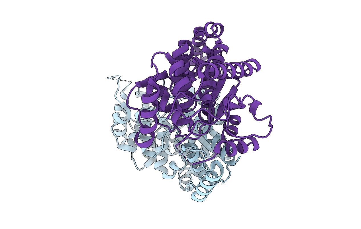 4HDN image