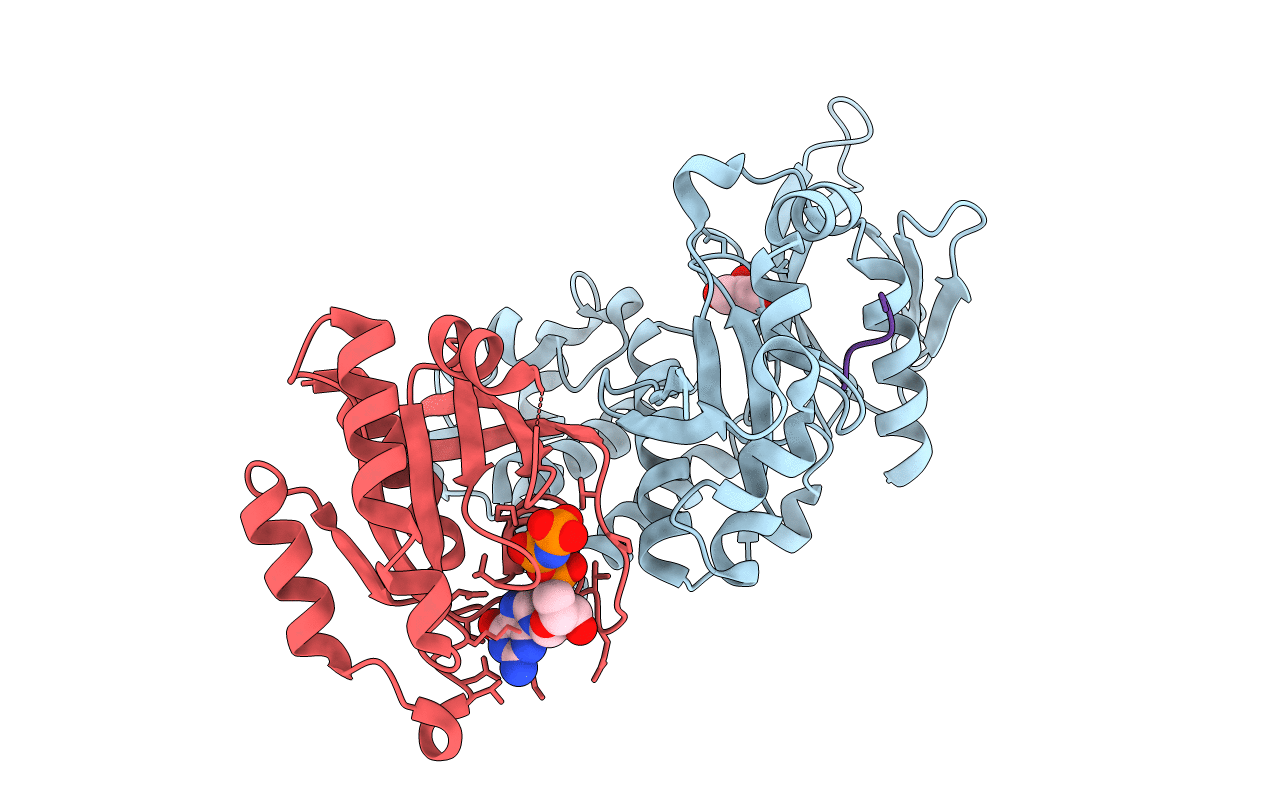 4HDQ image