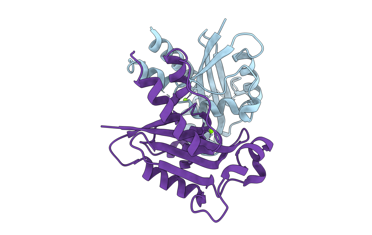 4HEC image