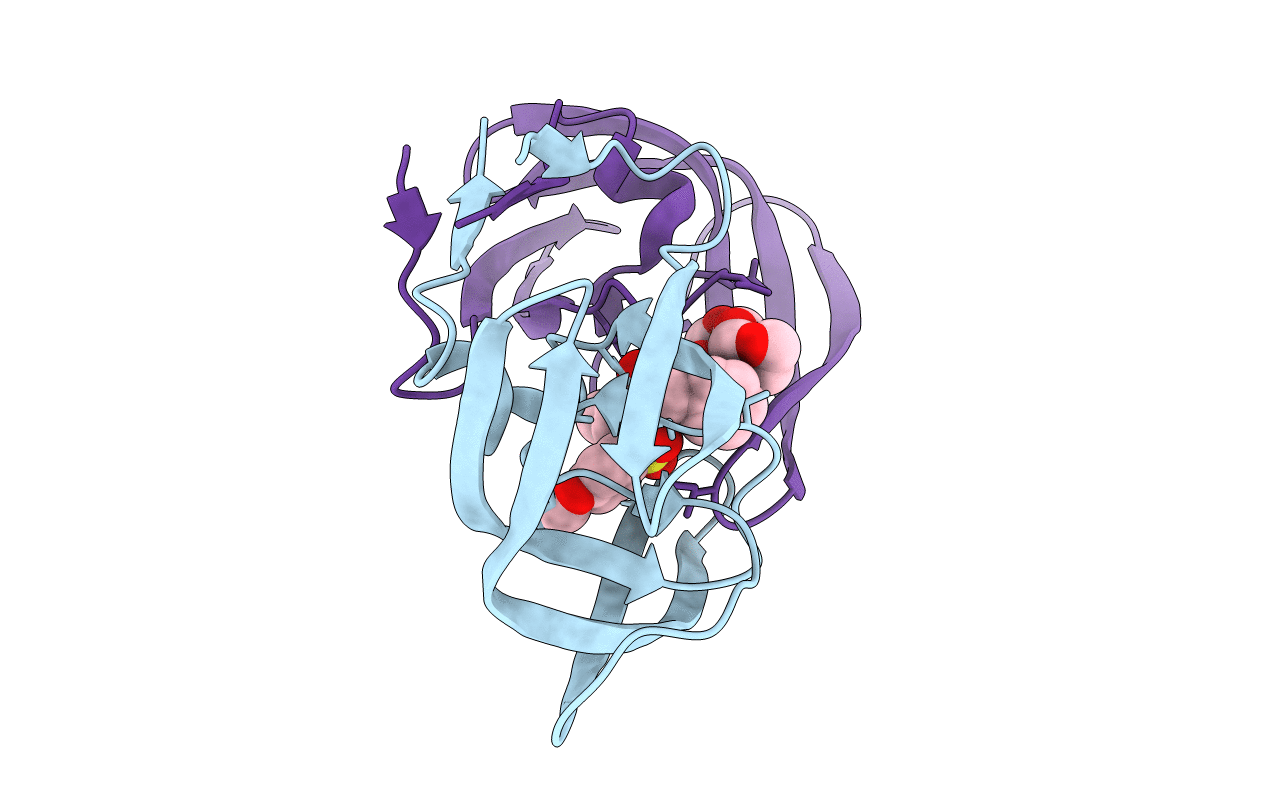 4HEG image