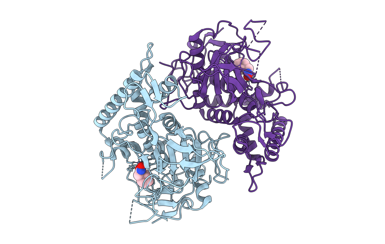 4HEV image