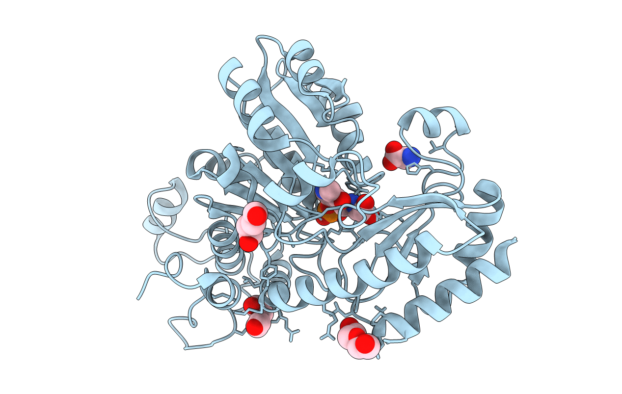 4HF8 image