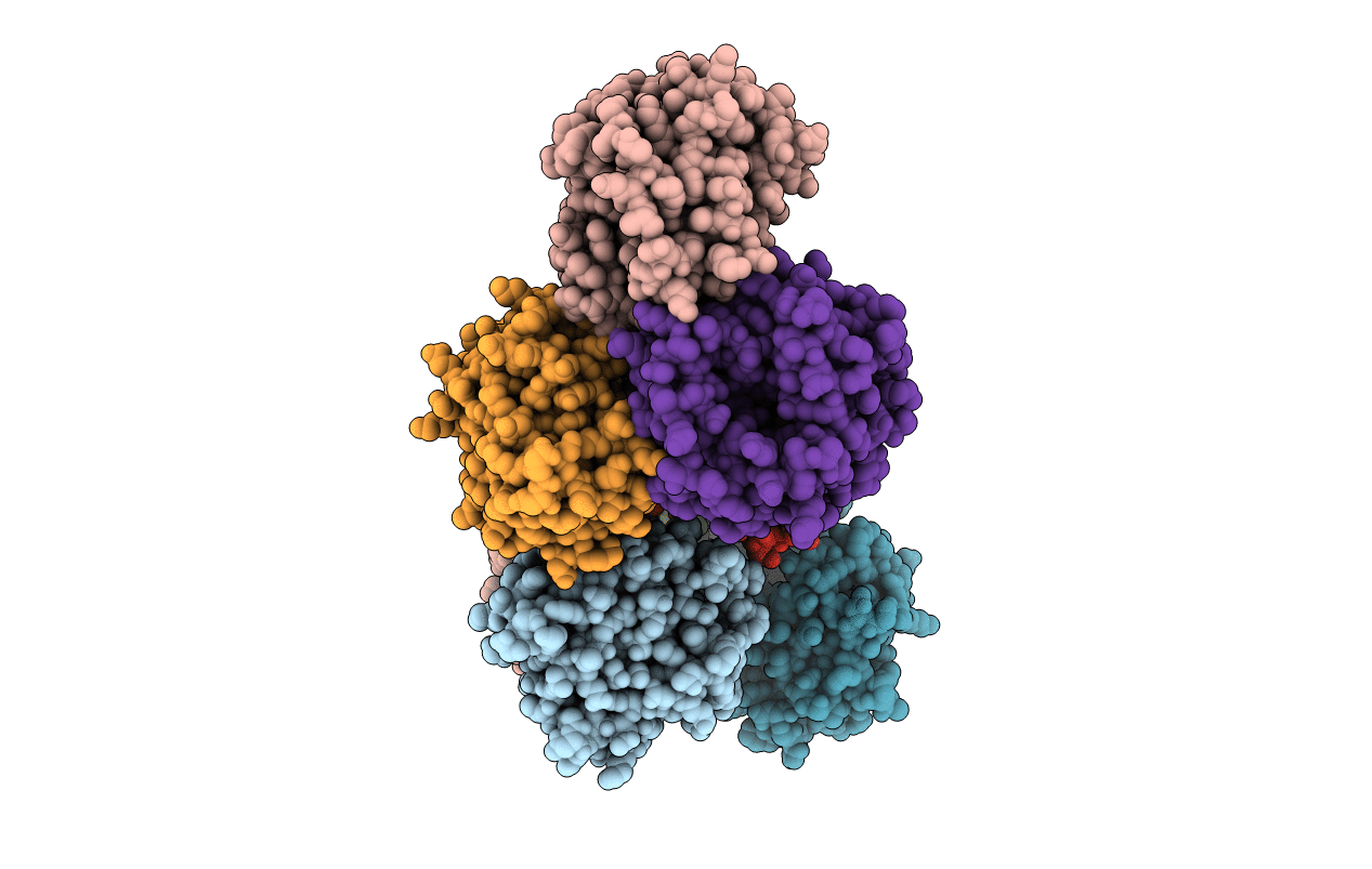 4HFO image