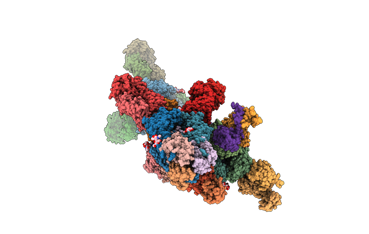 4HG4 image